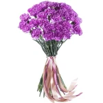 Гвоздики фиолетовые